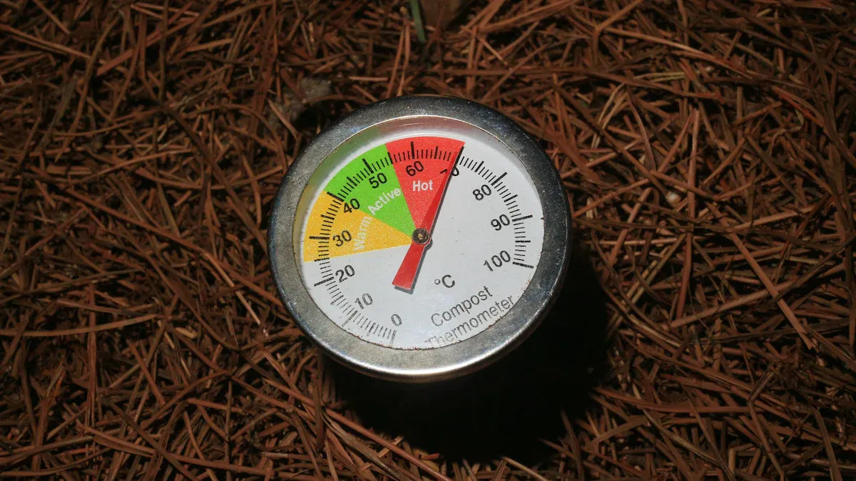 Are Your Paper Plates Biodegradable or Compostable?