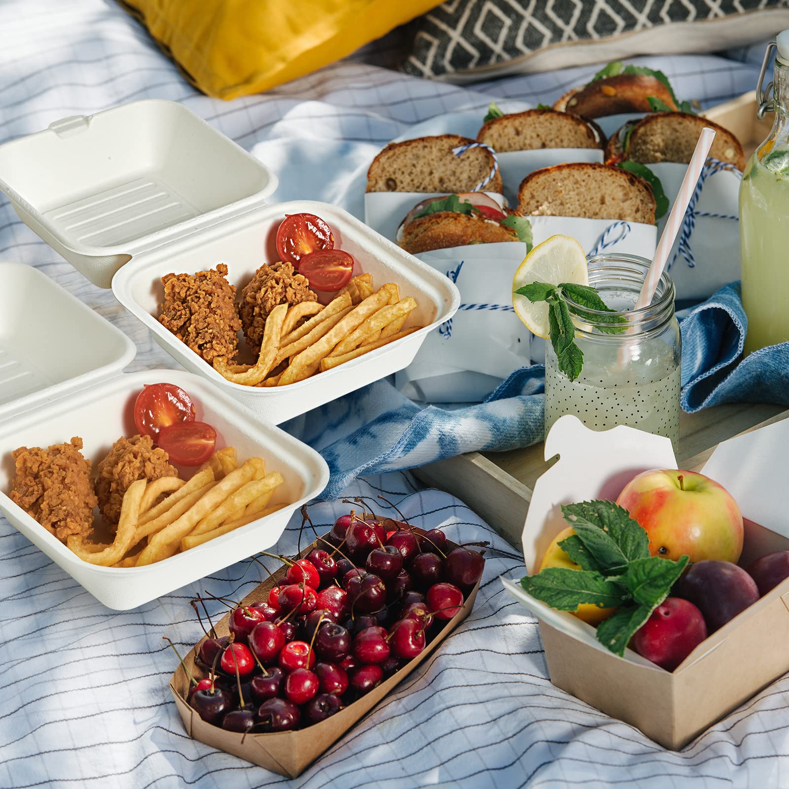 ECOLipak disposable food containers used to serve a delightful picnic spread, including fried chicken, fries, and fresh fruits.