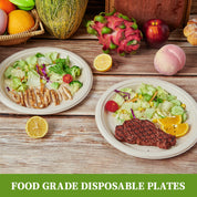 Two food-grade disposable plates showcase grilled chicken and steak with fresh salads, surrounded by colorful fruits.