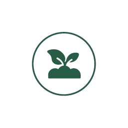 Green plant icon with two leaves sprouting from soil, enclosed in a circular outline.