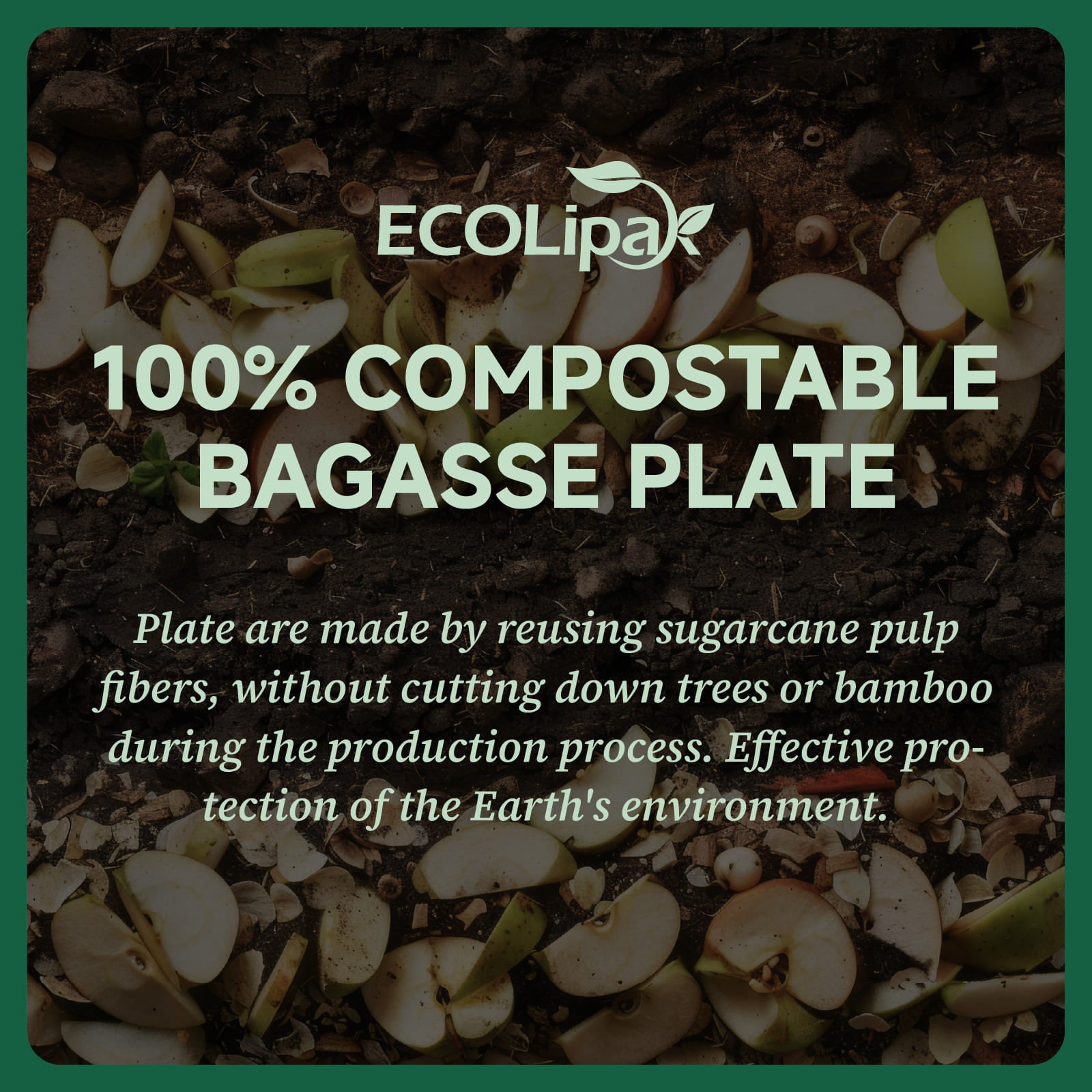 A compostable bagasse plate made from sugarcane pulp, promoting environmental protection without harming trees or bamboo.