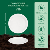 9-inch compostable sugarcane plates, biodegradable, eco-friendly, non-toxic, plastic-free, made from renewable materials.