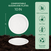 10-inch compostable sugarcane plates, eco-friendly, 100% biodegradable, non-toxic, plastic free, renewable materials.