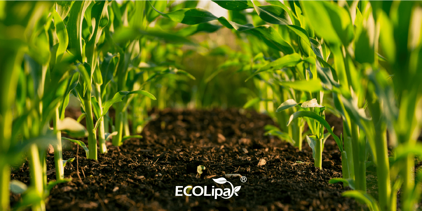 Home Composting vs. Industrial Composting: A Simple Guide to Sustainable Living - ECOlipak