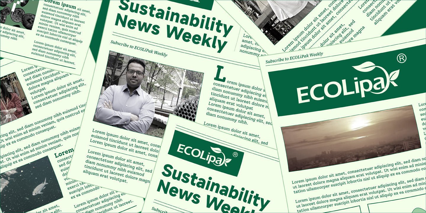 🌿 Sustainability News Weekly: From AI Energy Demands to Ocean Conservation—What’s New in the Eco World? - ECOlipak