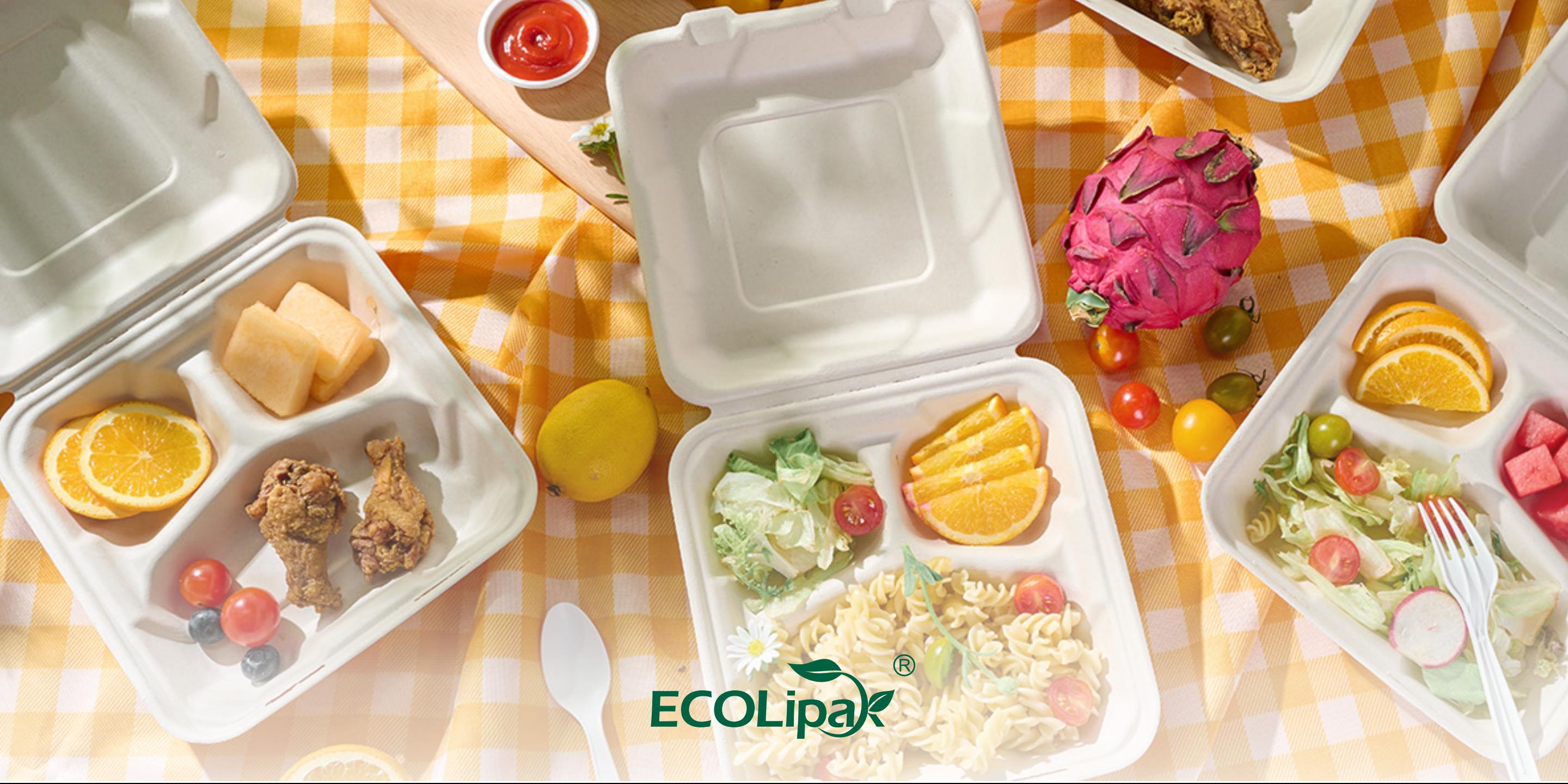 Tips for Choosing To Go Boxes: A Smart Guide for Eco-Conscious Packaging - ECOlipak