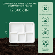 10 in / 12.5 in Heavy - Duty Sugarcane 5 Compartment Plates｜BPI Certified, BPA Free - ECO - Lipak