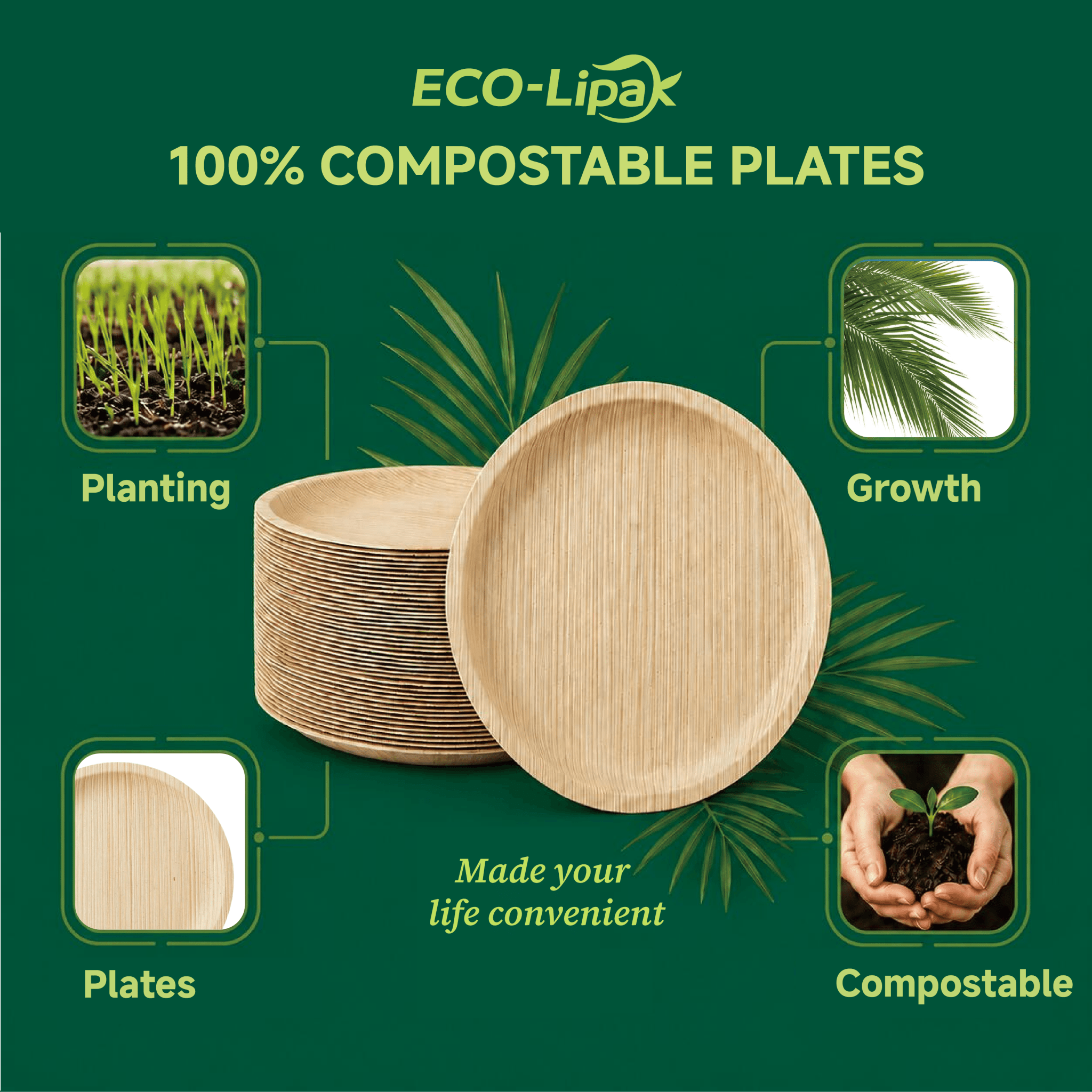 10in Round Heavy - Duty Palm Leaf Plates｜BPA - Free, Toxin - Free - ECO - Lipak