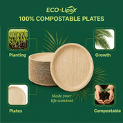10in Round Heavy - Duty Palm Leaf Plates｜BPA - Free, Toxin - Free - ECO - Lipak