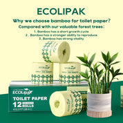 12 rolls 3 - ply Lint - Free Absorbent Tree - Free Bamboo Toilet Paper | PFAS - Free, Non - Toxic - ECOlipak