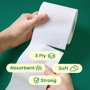12 rolls 3 - ply Lint - Free Absorbent Tree - Free Bamboo Toilet Paper | PFAS - Free, Non - Toxic - ECOlipak