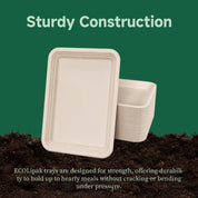 14 in Disposable Cutting - Resistant Compostable Trays｜BPI Certified, PFAS - Free - ECOlipak
