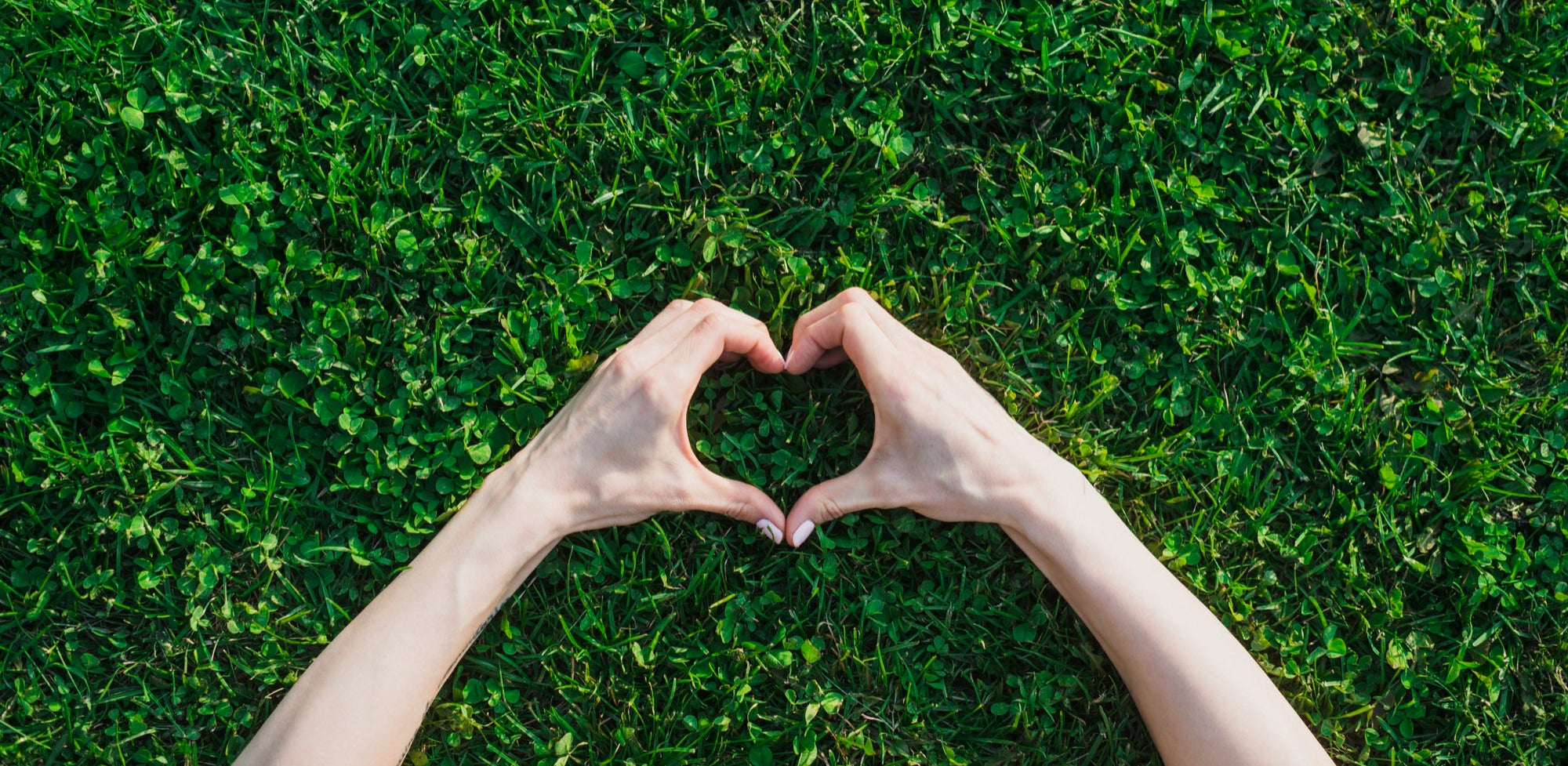 Two hands forming a heart shape over a lush green grass background, symbolizing love and connection of 
 ECOLipak  with nature.