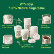12 oz Multi-Purpose Paper Compostable Cups & CPLA Lids｜Eco-Friendly, BPA-Free