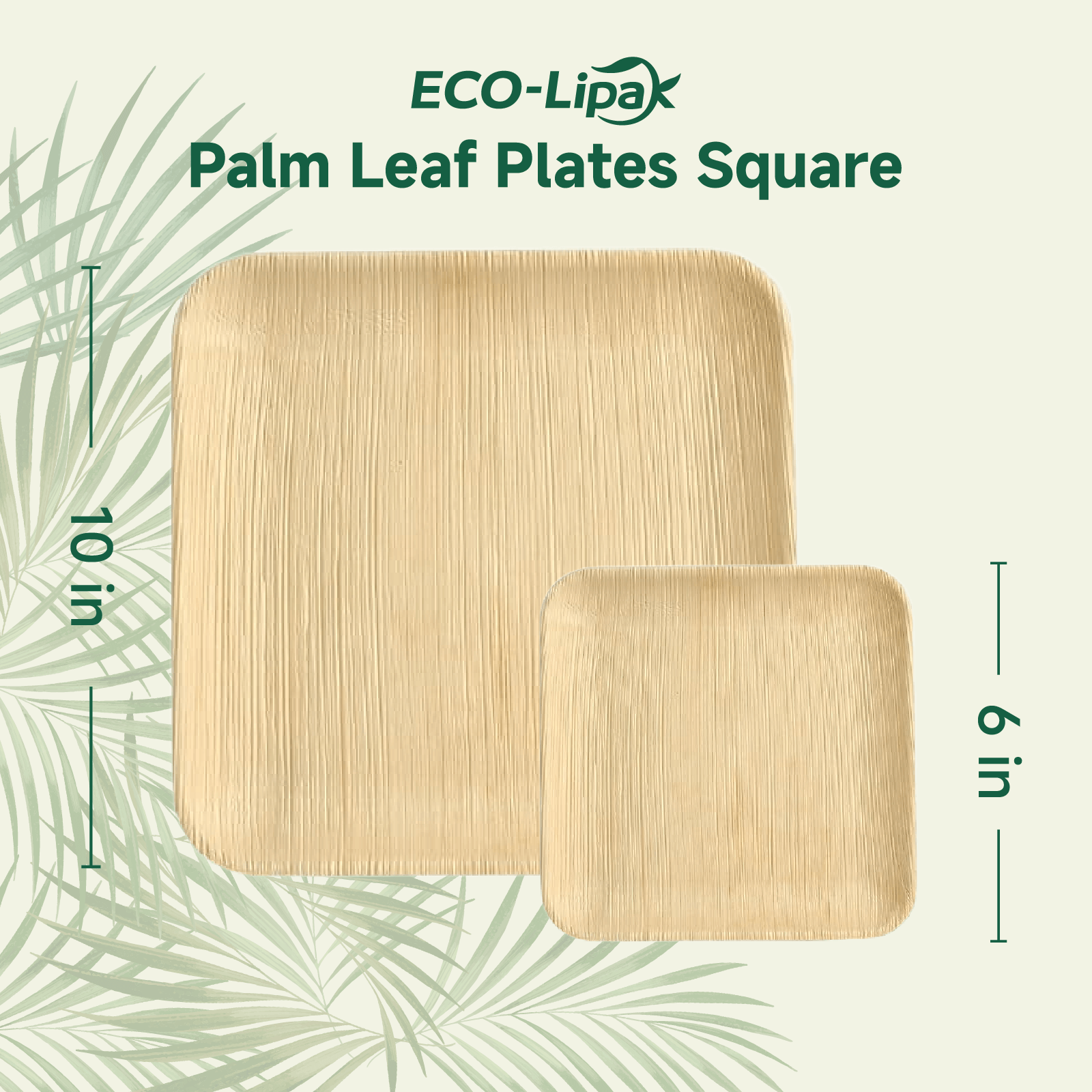  10 in Square Heavy - Duty Compostable Palm Leaf Plate｜Toxin - Free, Plastic - Free - ECOlipak