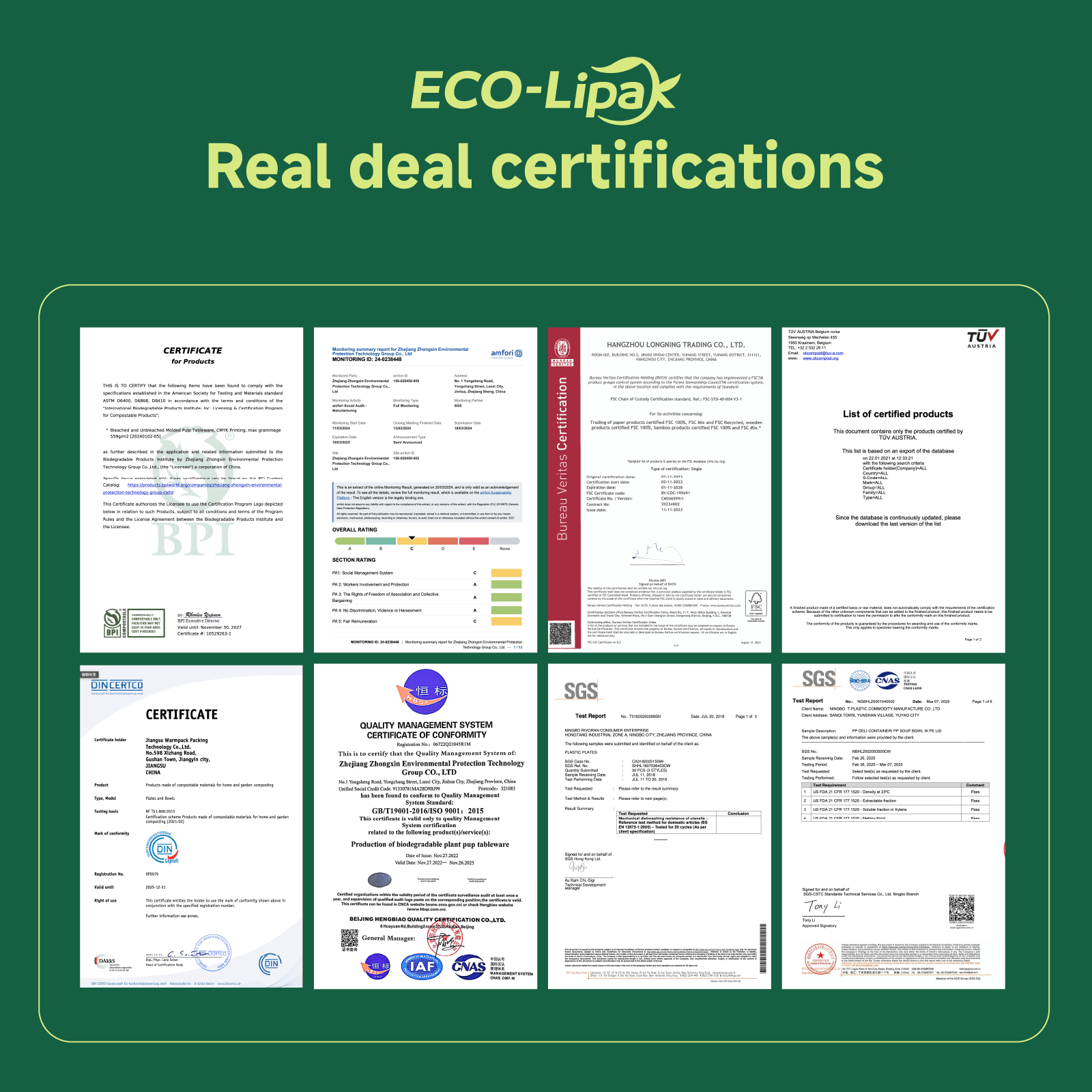 6 in / 10 in Square Heavy - Duty Compostable Palm Leaf Plate｜Toxin - Free, Plastic - Free - ECOlipak