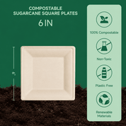 6in&10in Heavy-Duty Natural Square Compostable Plate Set｜BPI Certified, BPA-Free, Cut-Resistant - ECO-Lipak