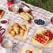 7.85 & 10 in Square Compostable Palm Leaf Plate Sets｜BPA Free, Toxin - Free - ECOlipak