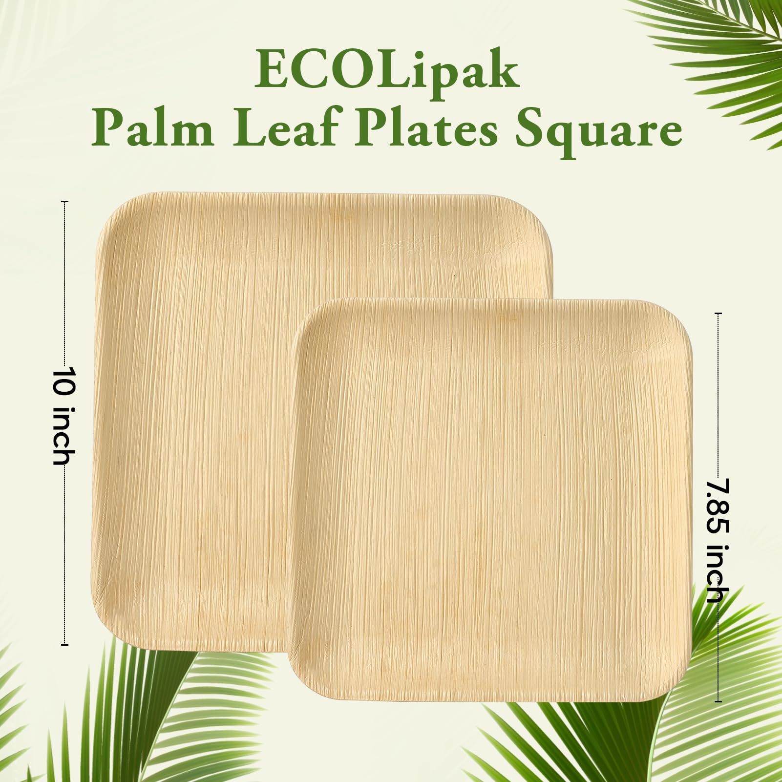 7.85 & 10 in Square Compostable Palm Leaf Plate Sets｜BPA Free, Toxin - Free - ECOlipak