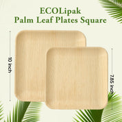 7.85 & 10 in Square Compostable Palm Leaf Plate Sets｜BPA Free, Toxin - Free - ECOlipak