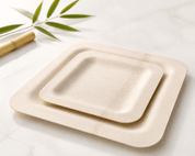 7in/10in Premium Square Organic Bamboo Plates Heavy-Duty & Fine-Grain Design | BPA-Free, Non-Toxic - ECO-Lipak