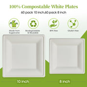 8 & 10 in Square Heat - Resistant Sugarcane Compostable Plates｜BPI Certified, BPA - Free - ECOlipak