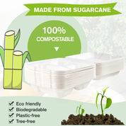 8 x 8 in Clamshell Heavy - Duty Leak - Resistant Sugarcane To Go Boxes｜BPA - Free, Toxin - Free - ECOlipak