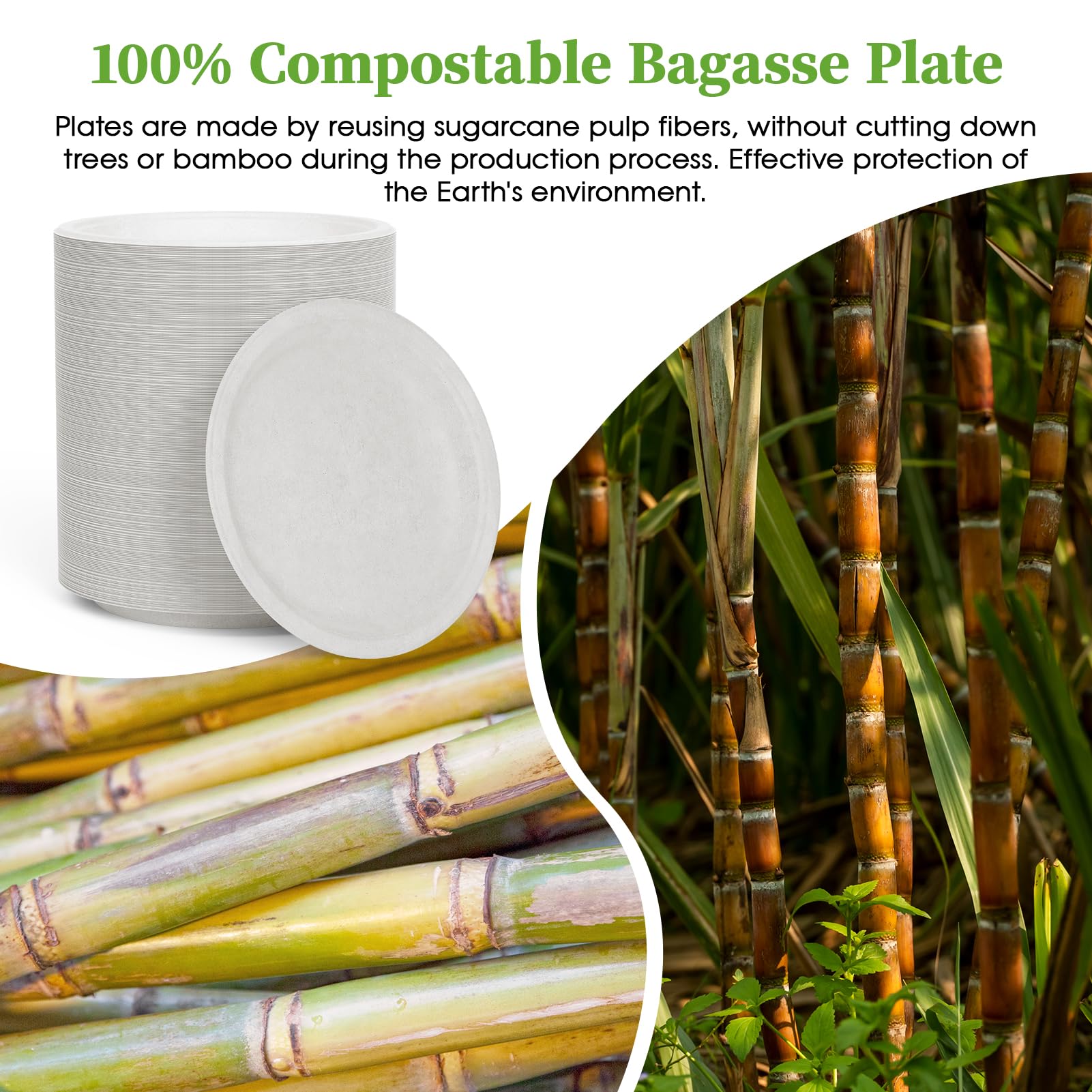 9 in / 10 in Round Deep Dish Leak - Resistant Sugarcane Compostable Plates｜BPI Certified, BPA - Free - ECOlipak