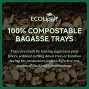 Compostable Sugarcane Food Trays