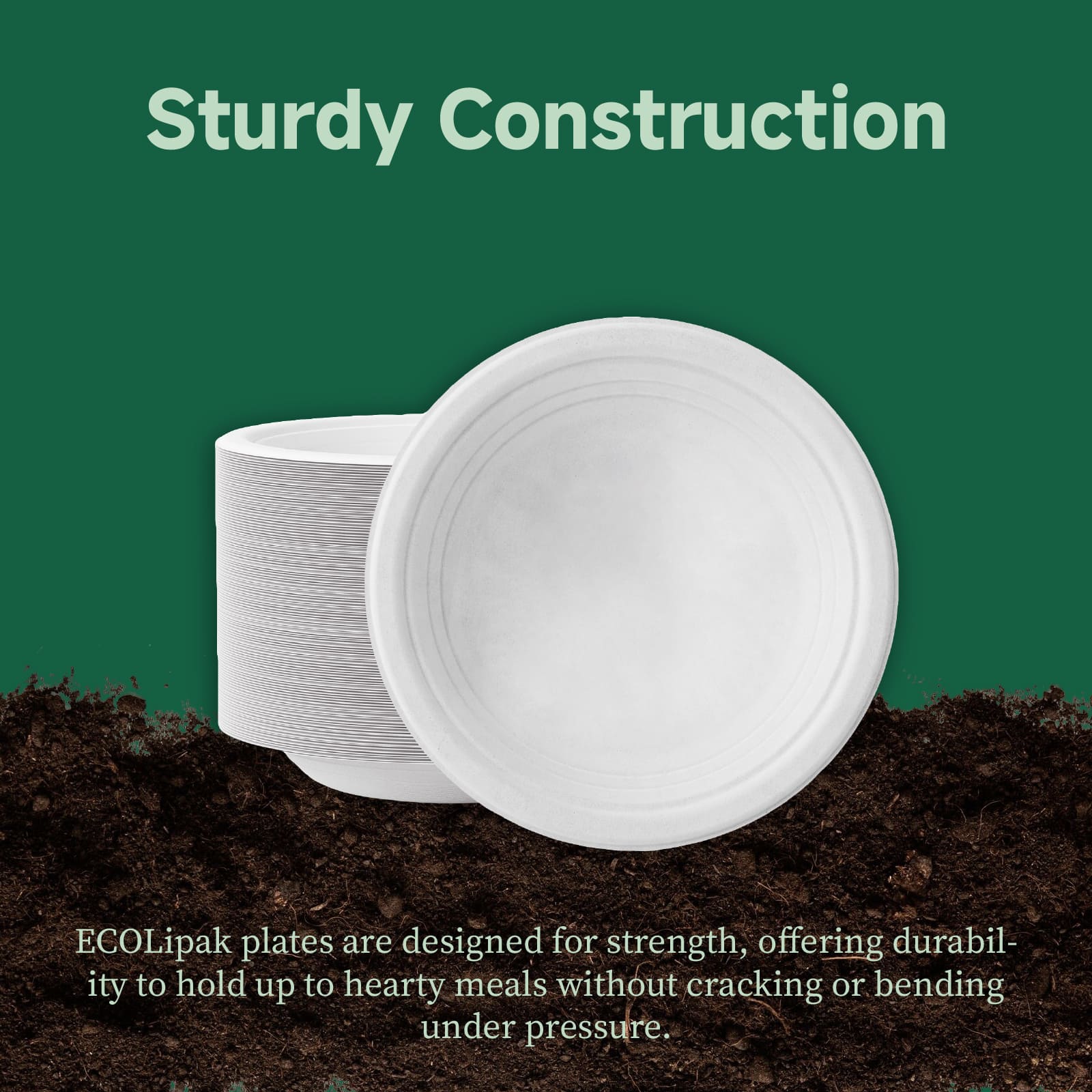 Compostable Sugarcane Deeper Plates