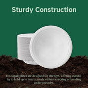 Compostable Sugarcane Deeper Plates