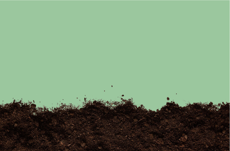 EL-product-_banner-m_9f67cdd1-2b19-490b-aa47-54fef4331a3f.png