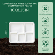 Five-compartment, compostable sugarcane plate measuring 10x8.25 inches, plastic-free and non-toxic, resting on soil backdrop.