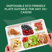 Eco-friendly disposable plate filled with fried chicken, fruits, salad, and snacks, perfect for any occasion.