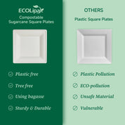 Comparison of eco-friendly sugarcane plates (left) versus plastic plates (right), highlighting sustainability and pollution issues.