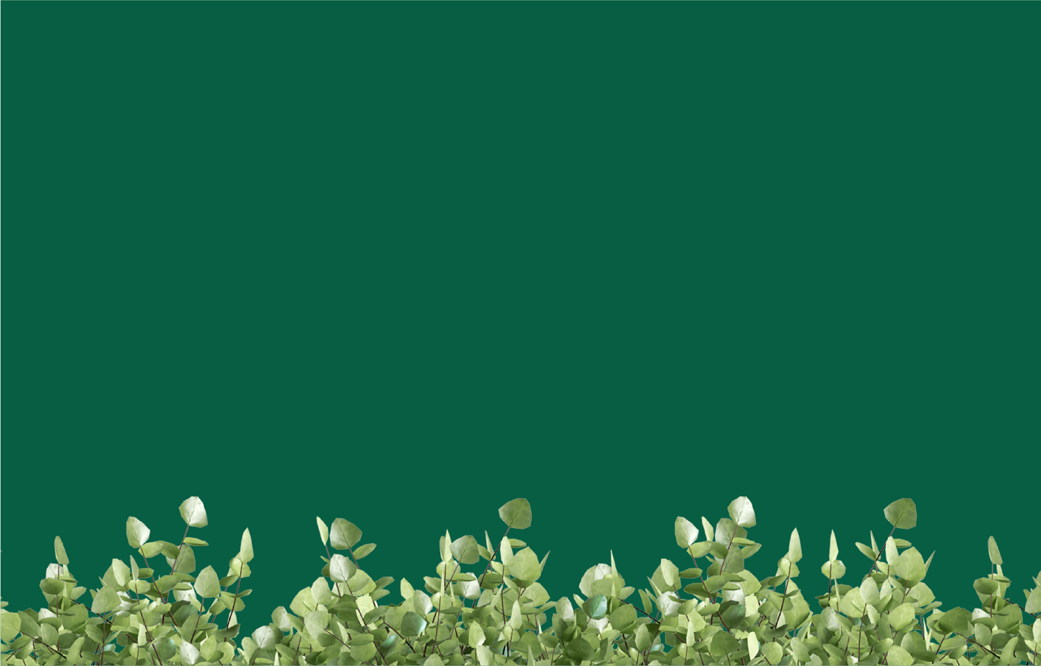 ceolipak-product-banner-2m_ed432aea-6932-49f1-b8dd-c722579b057f.png