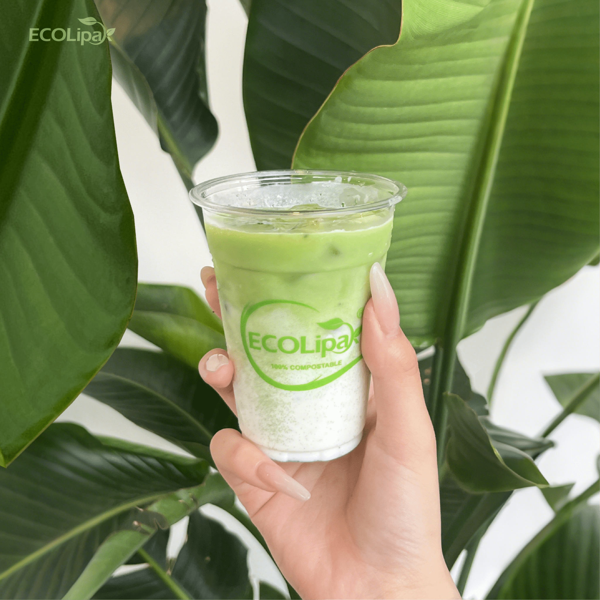 Clear Pliable Durable Compostable Cold Cup｜BPI Certified, PFAS - Free - ECOlipak