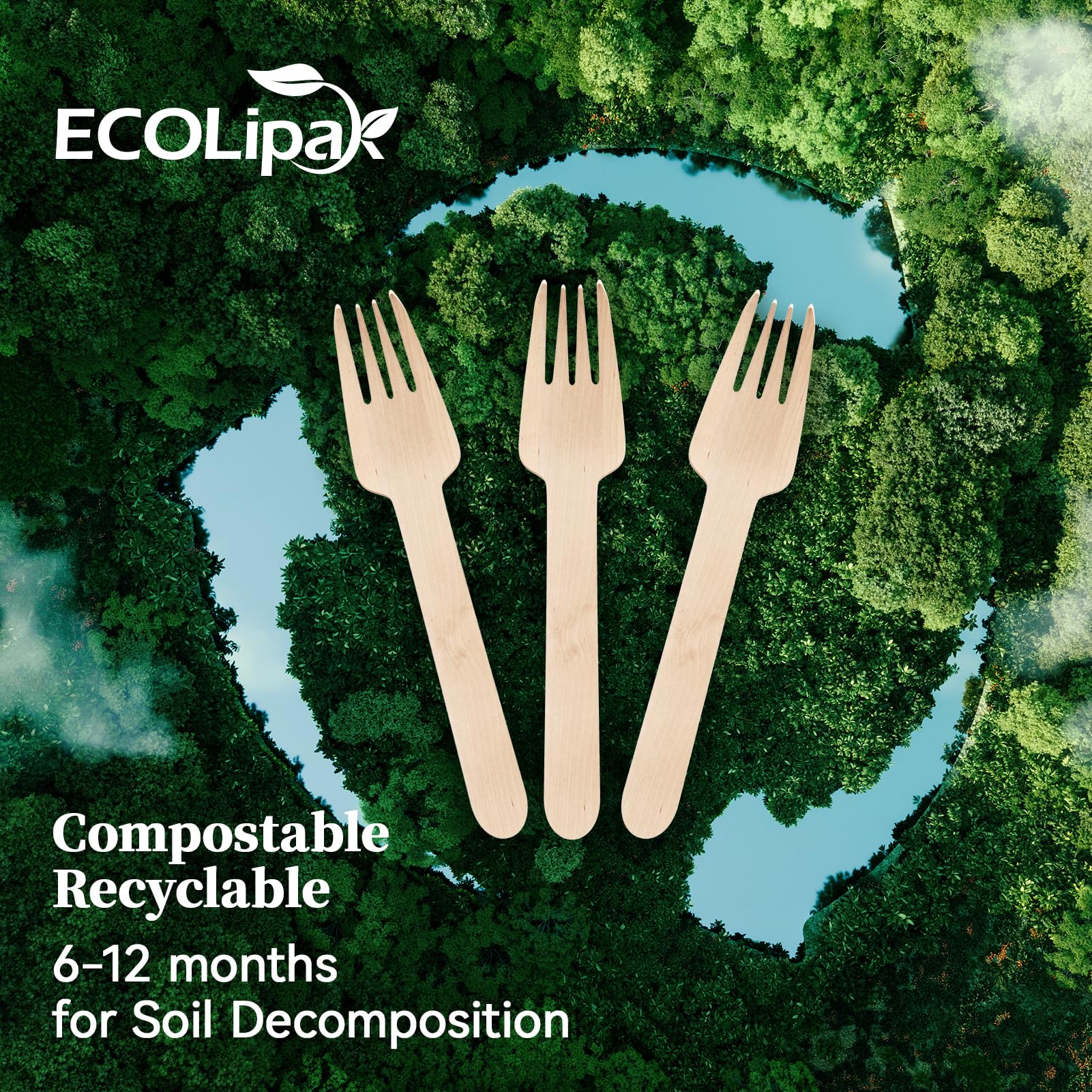 Compostable Splinter - Free Wooden Fork, Knife & Spoon Cutlery Set｜BPA - Free, Non - toxic - ECOlipak