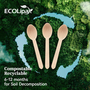 Compostable Splinter - Free Wooden Fork, Knife & Spoon Cutlery Set｜BPA - Free, Non - toxic - ECOlipak