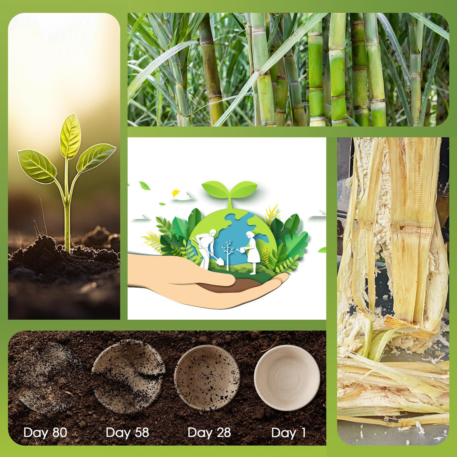 Durable Sugarcane Compostable Bowls｜BPI Certified, BPA - Free - ECOlipak