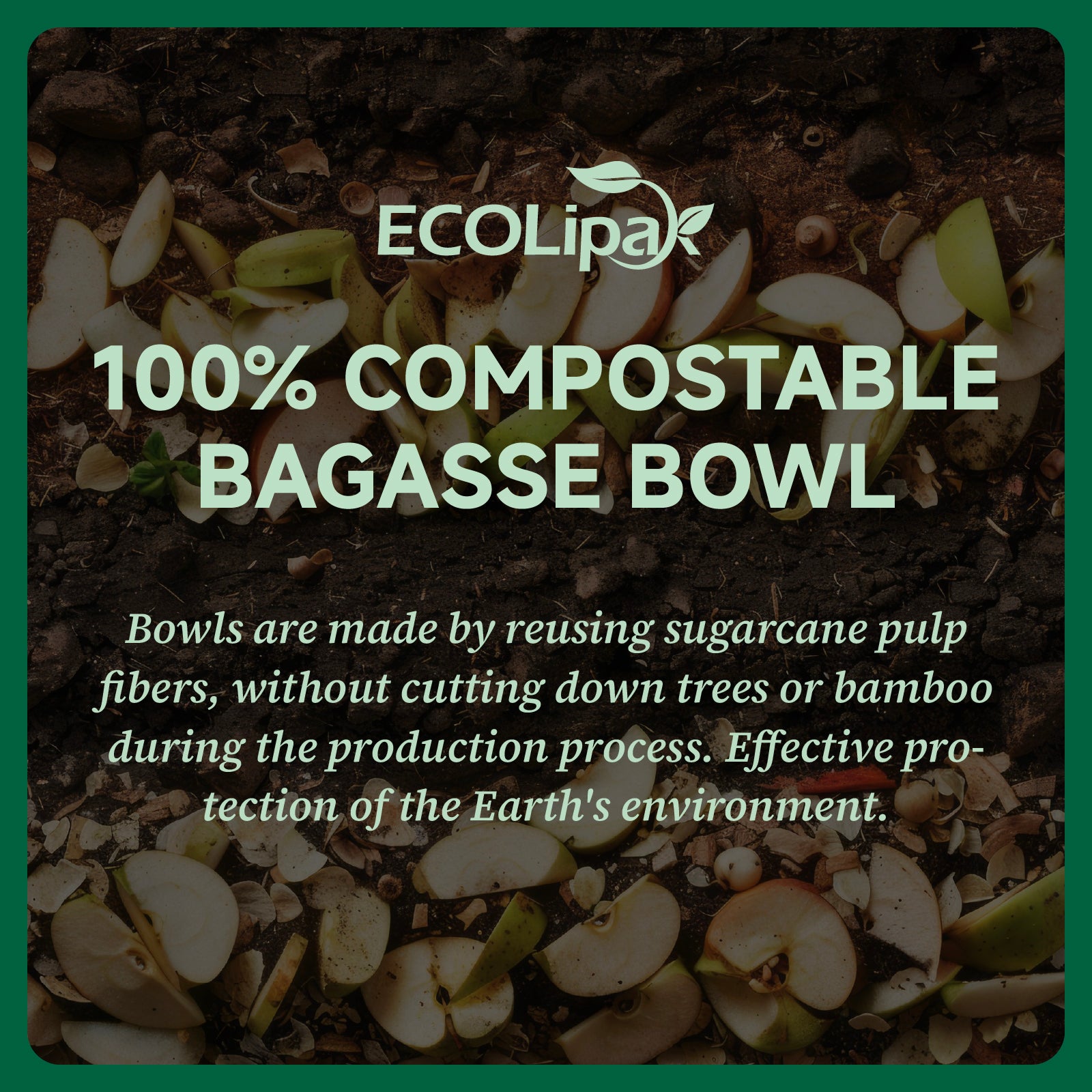 Compostable Sugarcane Wide-rimmed Bowls