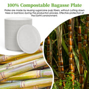 Introduction to ECOlipak 100% compostable bagasse plates, made from reused sugarcane pulp fibers, emphasizing tree - and bamboo - free production for environmental protection, with images of stacked plates, a single plate, and sugarcane plants. 