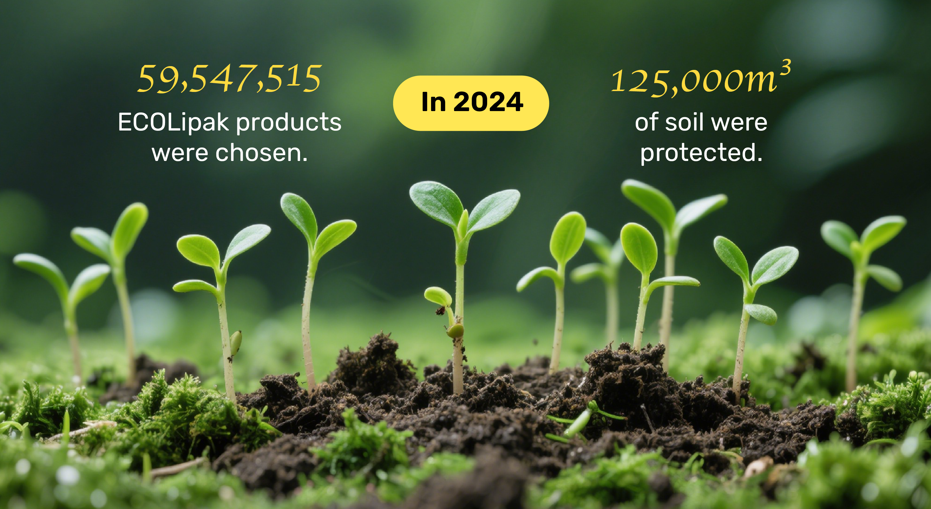Image of young plants sprouting from rich soil, highlighting 59,547,515 ECOLipak products chosen and 125,000m³ of soil protected in 2024.