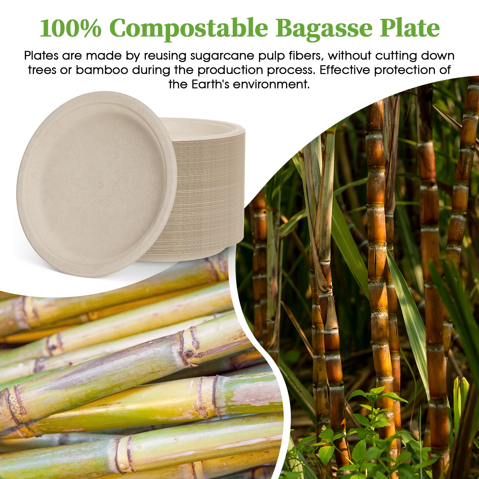 Round Cut - Resistant Sugarcane Compostable Plates｜PFAS - Free, BPA - Free - ECOlipak