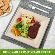 Square Heavy - Duty Compostable Plates｜BPA - Free, Cut - Resistant - ECOlipak