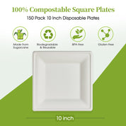 Square Heavy - Duty Compostable Plates｜BPA - Free, Cut - Resistant - ECOlipak