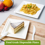 Square Heavy - Duty Compostable Plates｜BPA - Free, Cut - Resistant - ECOlipak