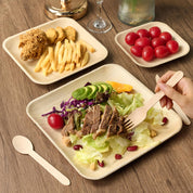 Square Leak - Proof Palm Leaf Compostable Plates & Cutlery Sets｜Food Grade, BPA - Free - ECOlipak