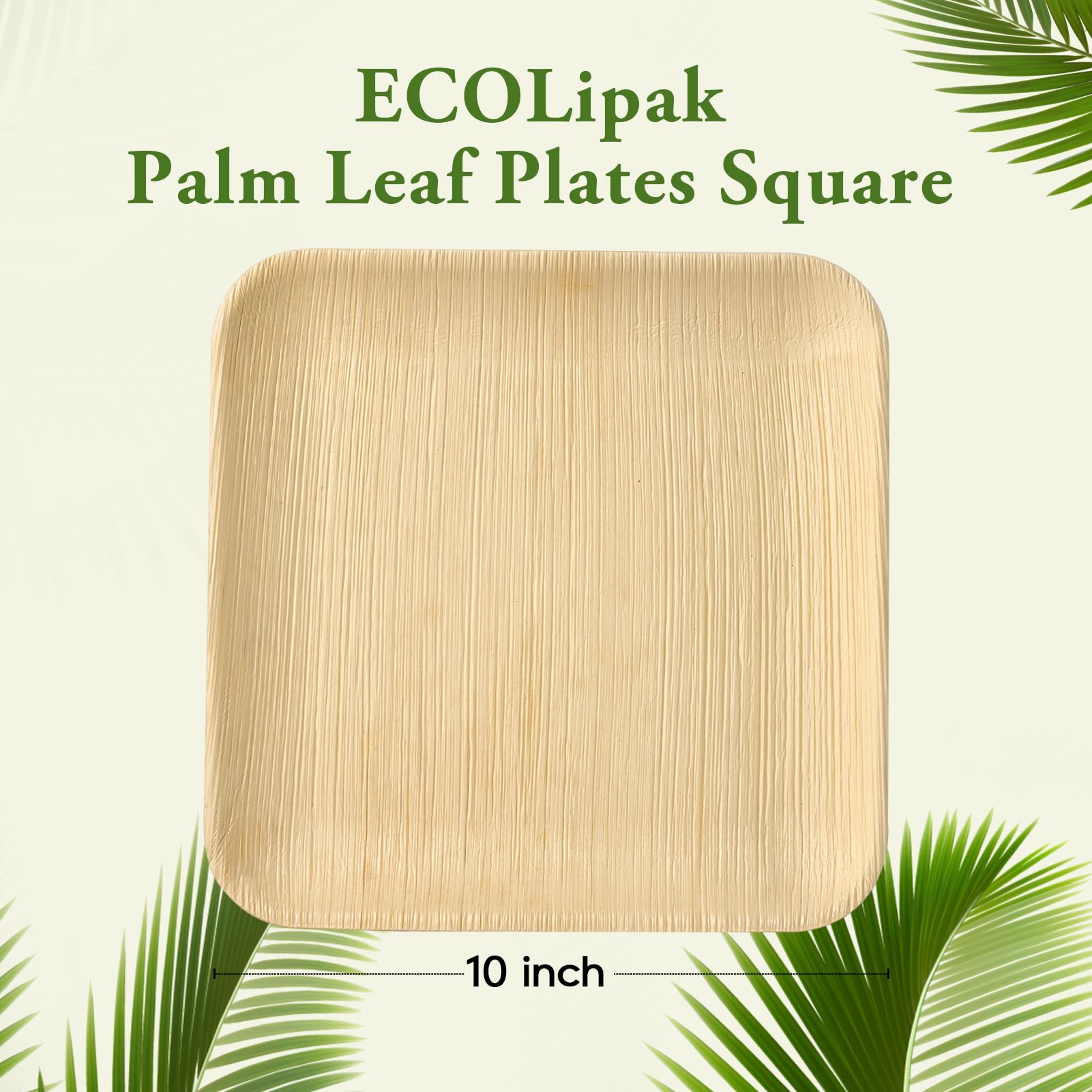 Square Leak - Proof Palm Leaf Compostable Plates & Cutlery Sets｜Food Grade, BPA - Free - ECOlipak