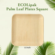 Square Leak - Proof Palm Leaf Compostable Plates & Cutlery Sets｜Food Grade, BPA - Free - ECOlipak